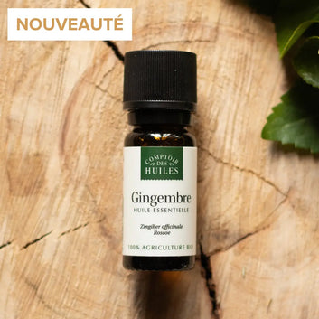 Flacon d'huile essentielle de Gingembre sur fond bois avec une plante en haut à droite
