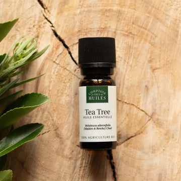 Flacon d'huile essentielle de Tea Tree sur fond bois avec une plante à gauche.