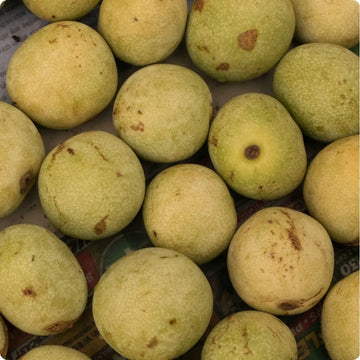 L’huile de Marula : votre alliée pour l’hiver