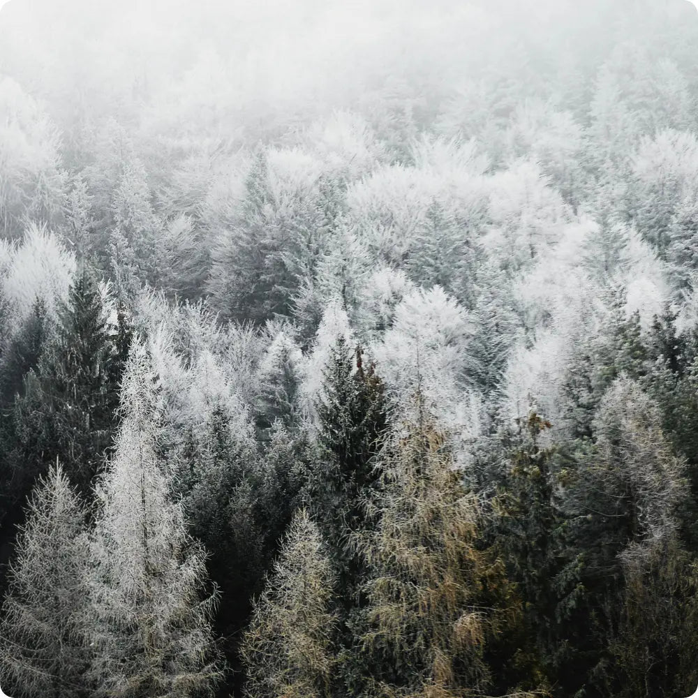 Comment garder un teint lumineux en hiver ?