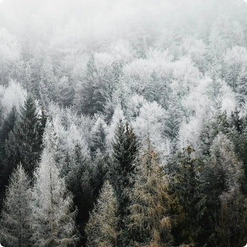 Comment garder un teint lumineux en hiver ?