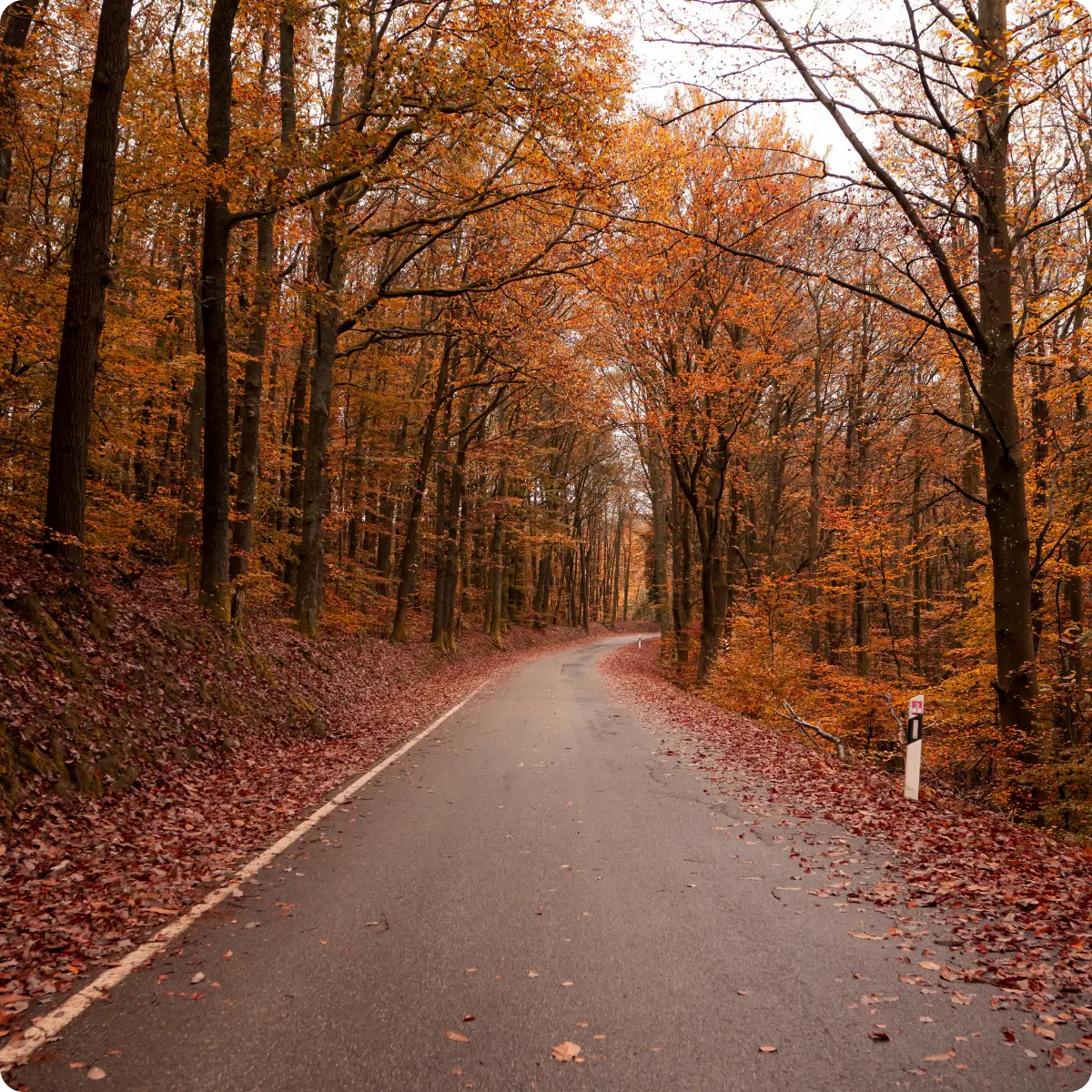 Quelle routine pour ma peau en automne ?