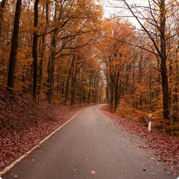 Quelle routine pour ma peau en automne ?