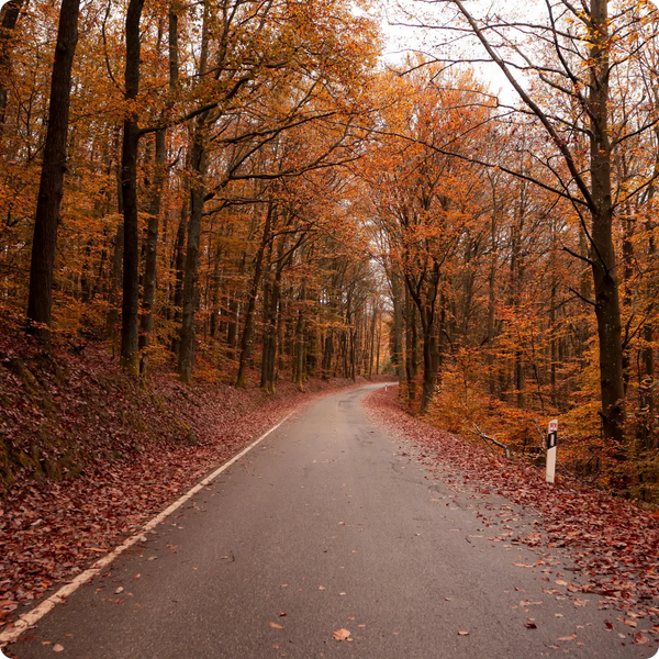 Quelle routine pour ma peau en automne ?