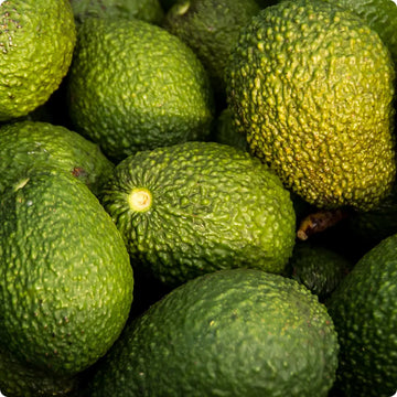 Huile d'avocat bienfaits : peau, cheveux et santé