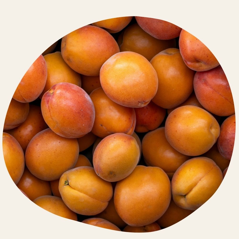 Huile d'Abricot BIO - Illuminatrice