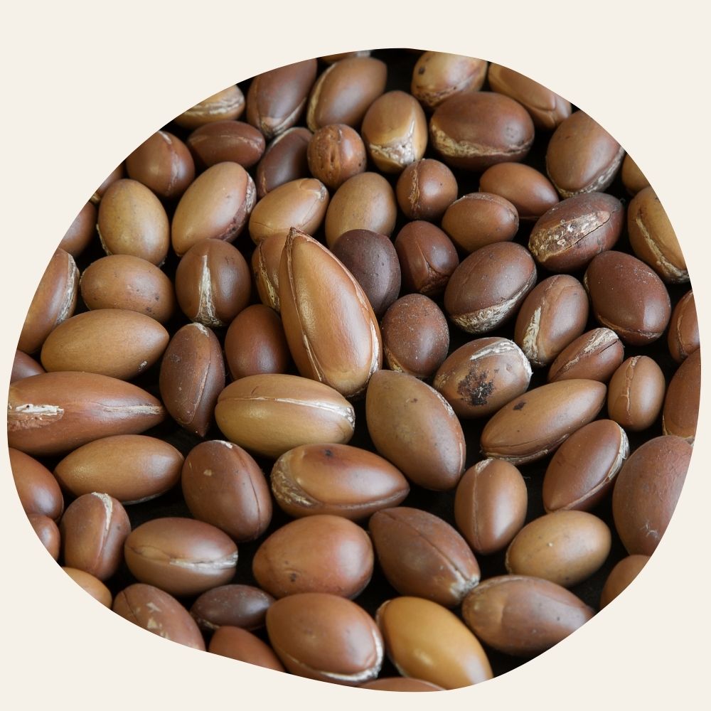 ORGANIC Argan Oil - Toning