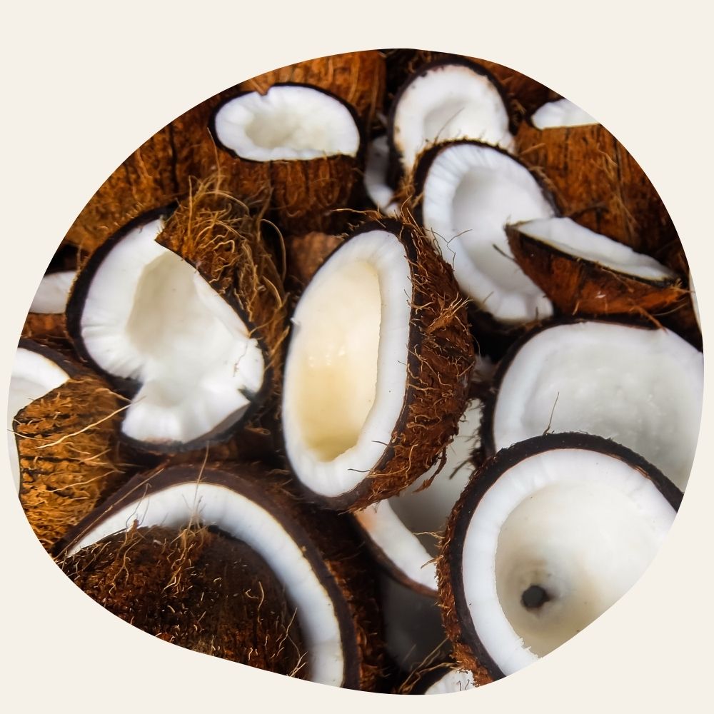 Huile de Coco BIO - Nourrissante