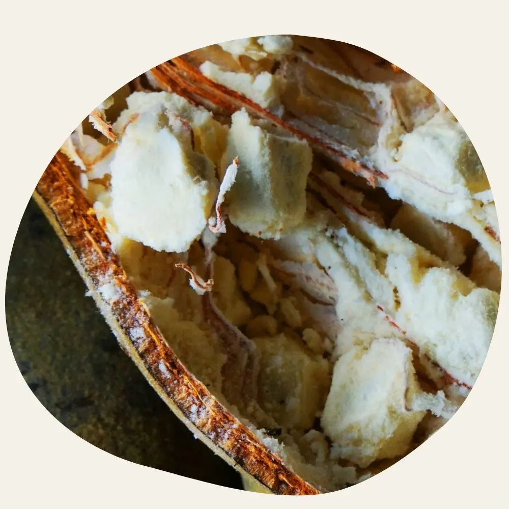 Huile de baobab bio de Madagascar dans la crème mains