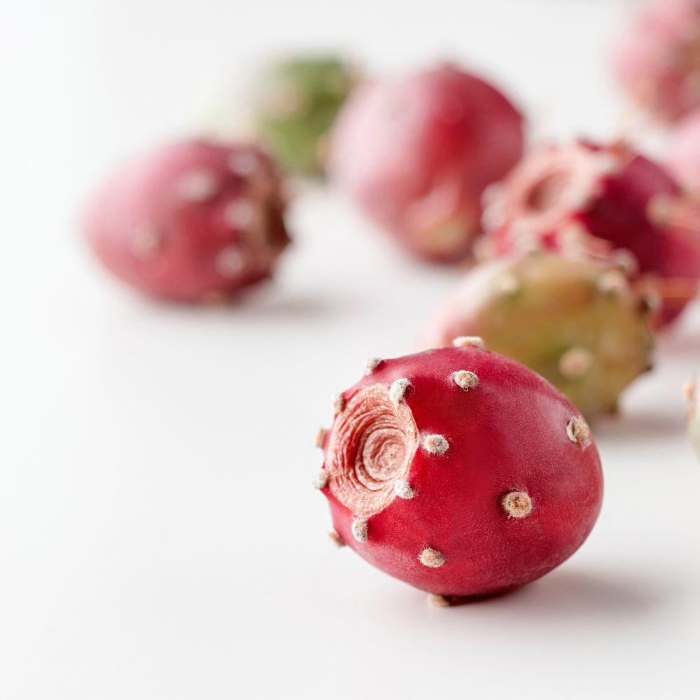 Sérum Anti-Âge Intense [NOUVEAUTÉ]