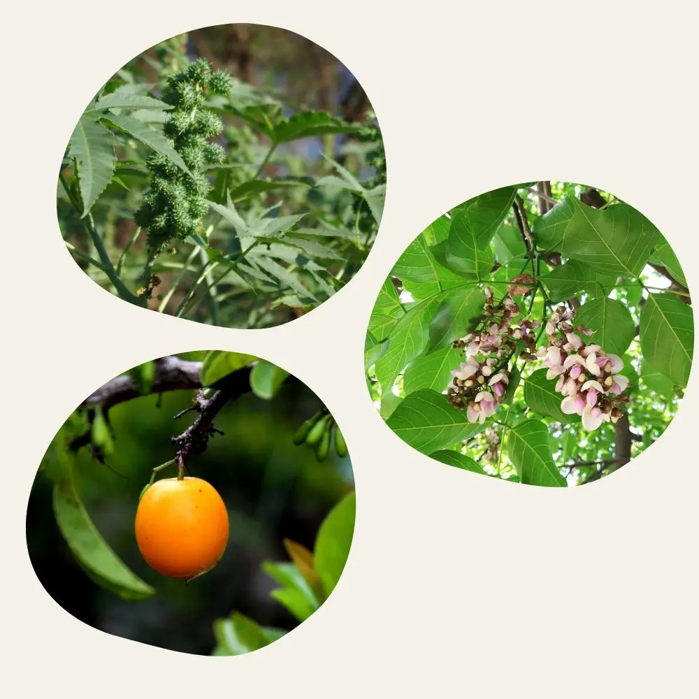 Sérum Capillaire Fortifiant