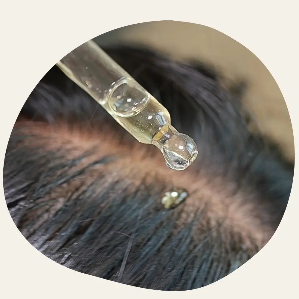 Sérum Capillaire Fortifiant