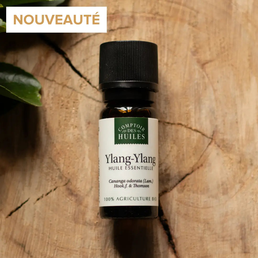 Flacon d'huile essentielle d'Ylang-Ylang sur fond bois avec une plante en haut à gauche. 