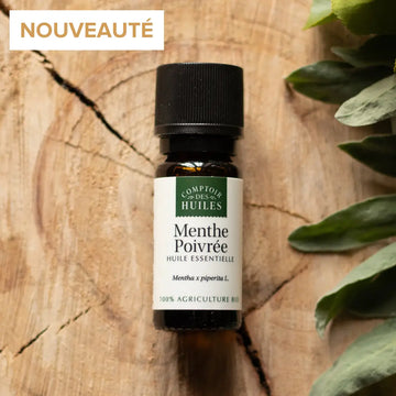 Flacon d'huile essentielle de Menthe Poivrée sur fond bois avec une plante à droite. 