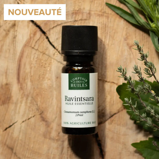 Huile Essentielle de Ravintsara BIO 10ml