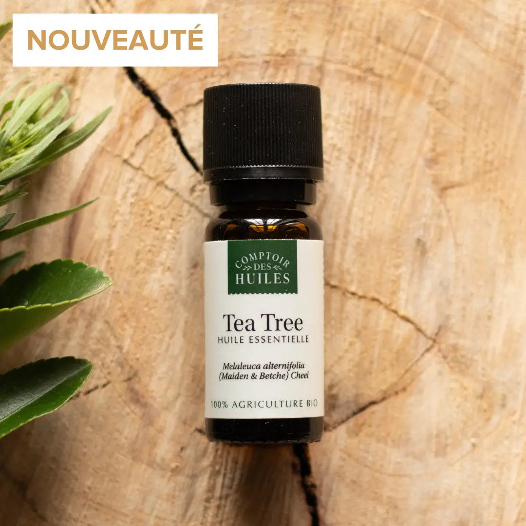 Flacon d'huile essentielle de Tea Tree sur fond bois avec une plante à gauche. 