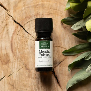 Flacon d'huile essentielle de Menthe Poivrée sur fond bois avec une plante à droite. 