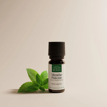 Huile Essentielle de Menthe Poivrée BIO 10ml