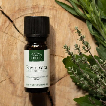 Huile Essentielle de Ravintsara BIO 10ml