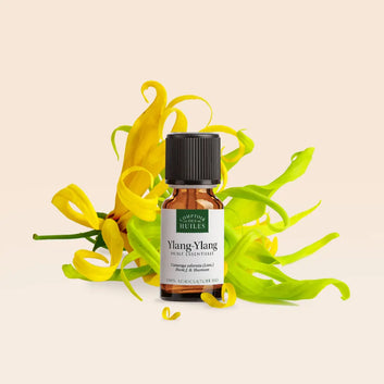 Huile Essentielle d'Ylang Ylang BIO 10ml