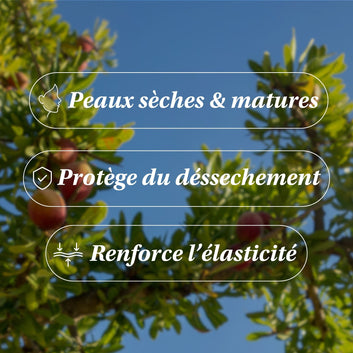 Huile d'Argan BIO - Tonifiante