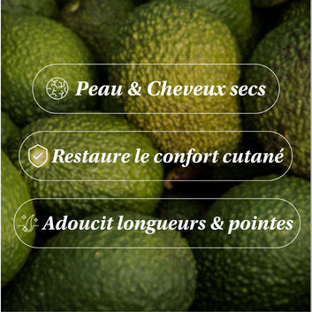 Huile d'Avocat BIO - Régénérante
