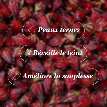 Huile d'Hibiscus BIO - Repulpante
