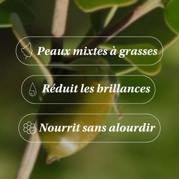 Huile de Jojoba - Sébo-Régulatrice