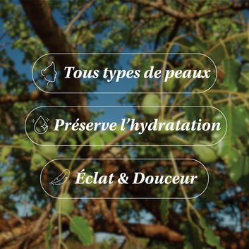 Huile de Marula BIO - Favorisant l'Hydratation
