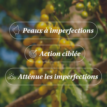 ORGANIC Neem Oil - Anti-Imperfections