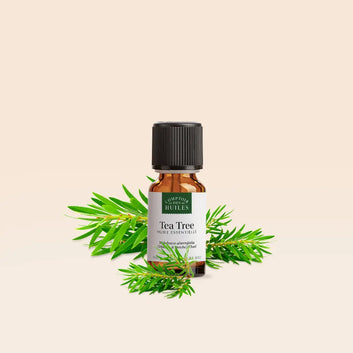 Organic Tea Tree Essential Oil